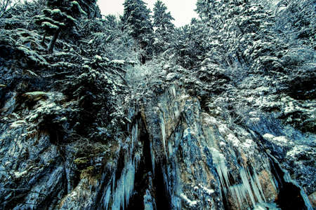 frozen and waterfall and forest with iciles in winterの写真素材