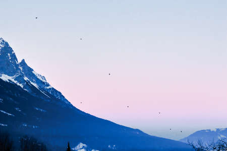 free birds flying in mountains in winterの写真素材