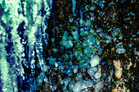 abstract natural ice crytals patternの写真素材