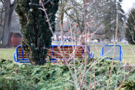 bench in winterの写真素材
