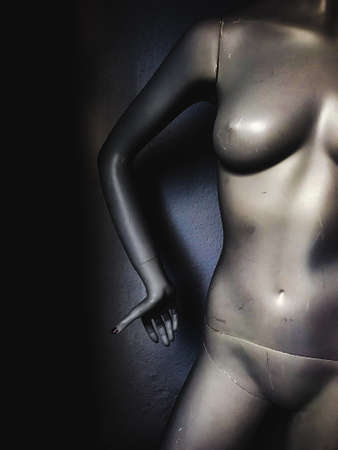female mannequin bodyの写真素材