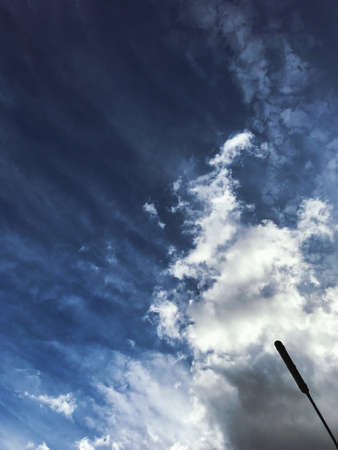 looking up into the skyの写真素材