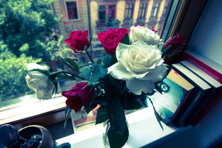 red and white roses on the window benchの写真素材
