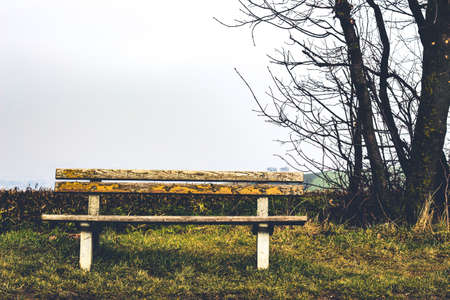 rustic bench in wasteland with leafless treeの写真素材