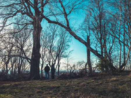 couple taking a walk in a forest on a plateau