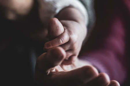 baby hand holding grandmother's fingerの写真素材