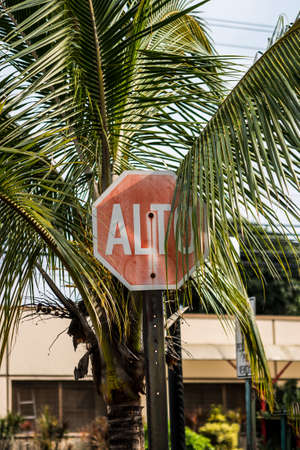 Stop sign in the streets of Costa Ricaの写真素材