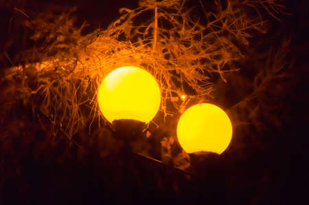 city ??lights nightの写真素材