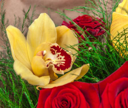 Bouquet of red roses and yellow orchidsの写真素材