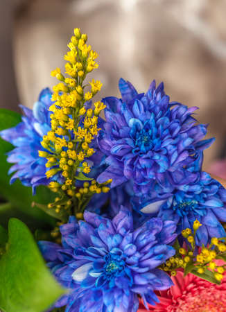 A bouquet of flowers with blue chrysanthemumsの写真素材