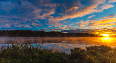 Summer dawn on a pond with fogの写真素材