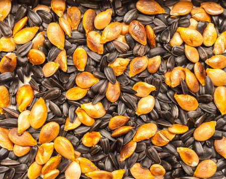 background, textureの写真素材