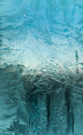 the frosty patterns on the window