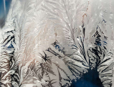 the frosty patterns on the window