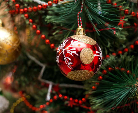 Toy the Red ball on the Christmas tree