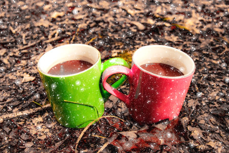 couple of cups in the forest with snow and foliageの写真素材