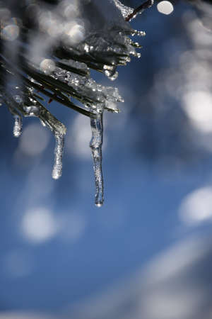 Icicle