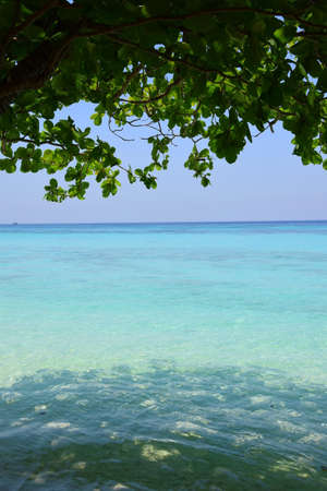 Thailand Island