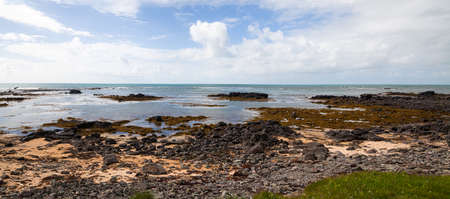 Extra wide summer panorama of sea coast with herbs, sandy beach, lava stones under blue sky. Copy...