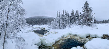 Winter panorama of the river skirting the snow-covered island with high fir trees in the tundra. High quality photo. Karelia. North Europe.Giant panoramic winter landscape.の写真素材