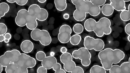 White Fluorescent Bright Shining Circles on Black Background. Seamless Textures. High Quality...