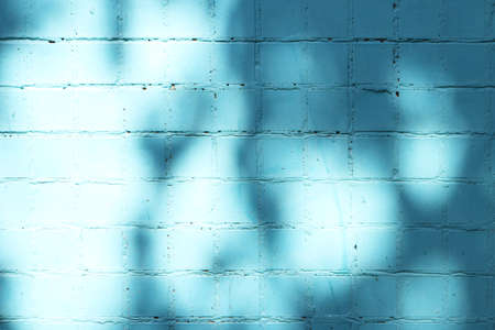 Blue Painted Tiles Wall Texture in Sun Rays with Tree Shadow. Urban Street Background.