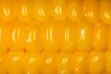 Macro corn kernels closeup texture. Freshness yummy background. Cooking corn recipe.の写真素材