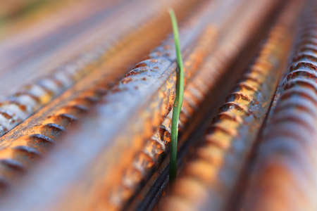 Rustic Metal Armature Rod with Grass Sprout. Building Construction Background.の写真素材
