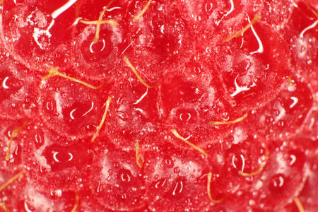 Raspberry Macro Closeup. Texture Background. Water Drops.の写真素材