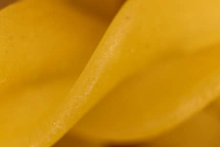 Spiral Macaroni Macro Closeup. Background Texture.