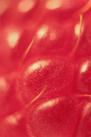 Raspberry Macro Closeup. Texture Background.
