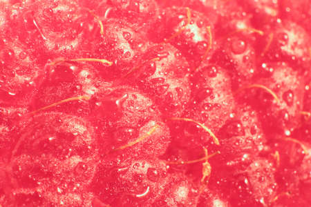 Raspberry Macro Closeup. Texture Background. Water Drops.