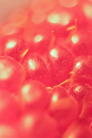 Raspberry Macro Closeup. Texture Background.