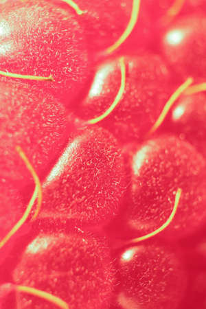 Raspberry Macro Closeup. Texture Background.の写真素材