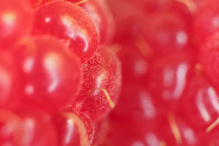 Raspberry Macro Closeup. Texture Background.の写真素材