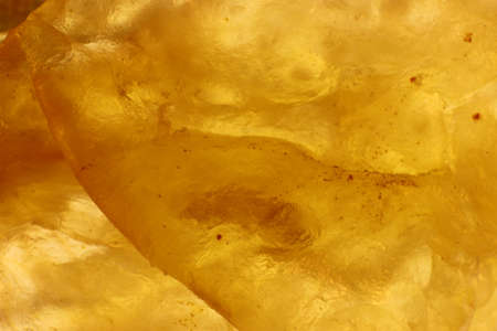 Raisin Texture. Dry Fruit Background. Macro Closeup.の写真素材