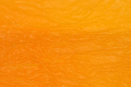 Dried Yellow Apricot Texture. Warm Nature Organic Background. Macro Closeup.の写真素材