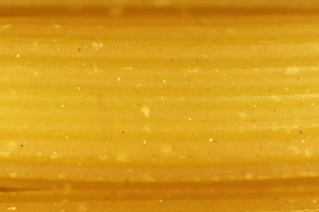 Pasta Texture. Uncooked Macaroni Food Background. Macro Closeup.の写真素材