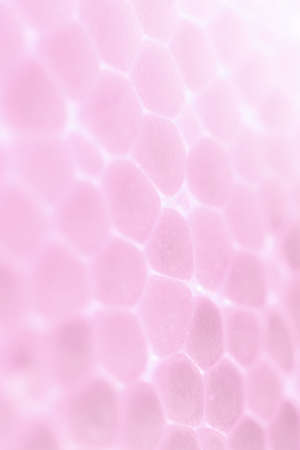 Light Rose Foam Plastic Texture. Abstract polystyrene Background. Macro Closeup.の写真素材