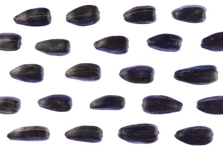Sunflower Seeds Pattern. Isolated Background. Detailed Texture. Macro Closeup. Landscape Orientation Poster.の写真素材