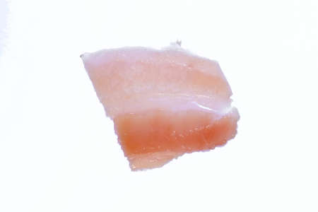Isolated bacon meat slice. Detailed macro closeup.