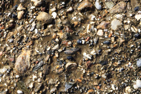 Wet sea weathered concrete surface texture. Rough nautical marine background.