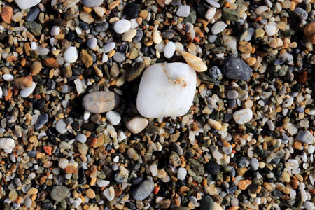 Snowy white stone on the wet beach