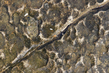 Rough marine background. Sea rock cliff with crack texture.