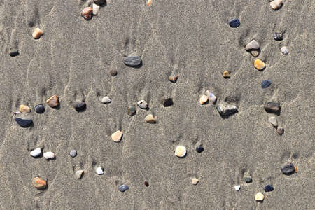 Rare pebble background. Different stones with stains on the wet sand. Beach beauty backdrop.