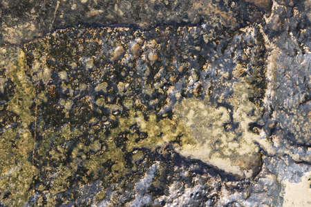 Wet sea weathered concrete surface texture. Rough nautical marine background.