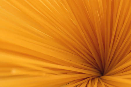 Many wood stakes filling background. Lot pointed branches.の写真素材