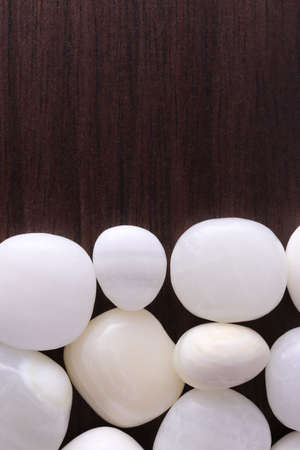 Tridacna heap jewel stones texture on half black background. Pile mineral pebbles background. Place for text.の写真素材