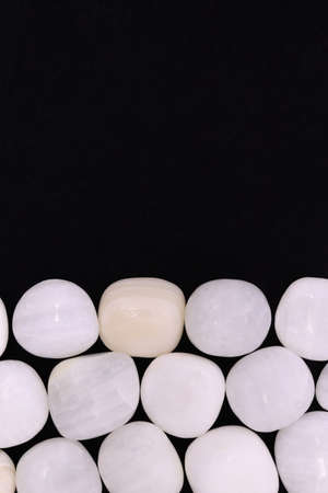 Tridacna heap jewel stones texture on half black background. Pile mineral pebbles background. Place for text.の写真素材