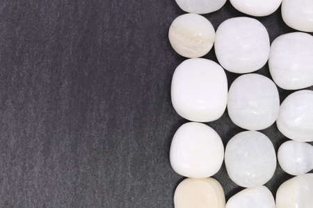 Tridacna heap jewel stones texture on half white light background. Pile mineral pebbles background. Place for text.の写真素材